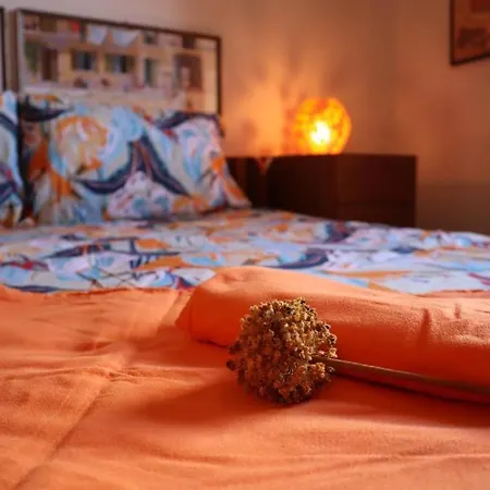 Rose Apartman Porto Ottiolu